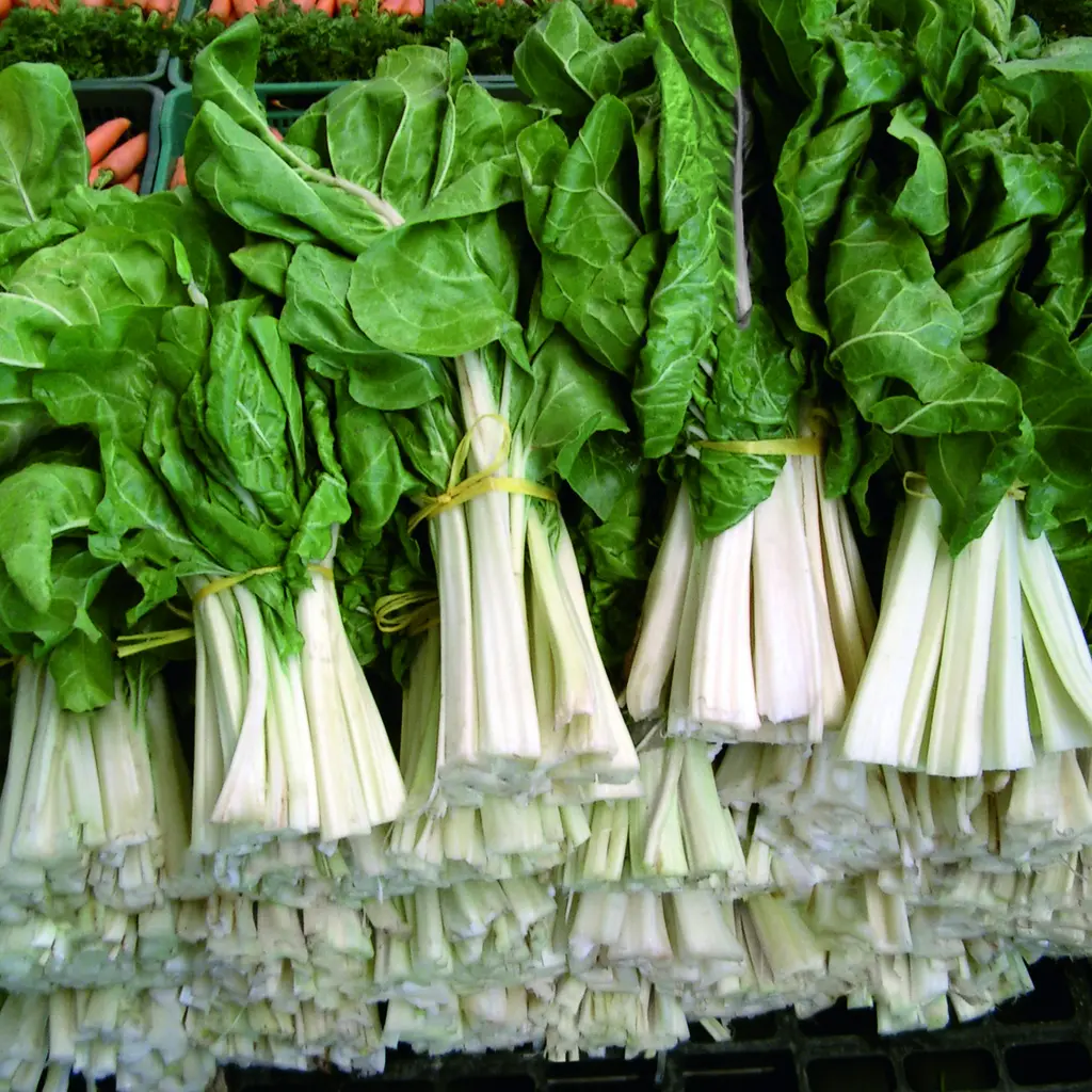 Bette à carde blanche (botte)