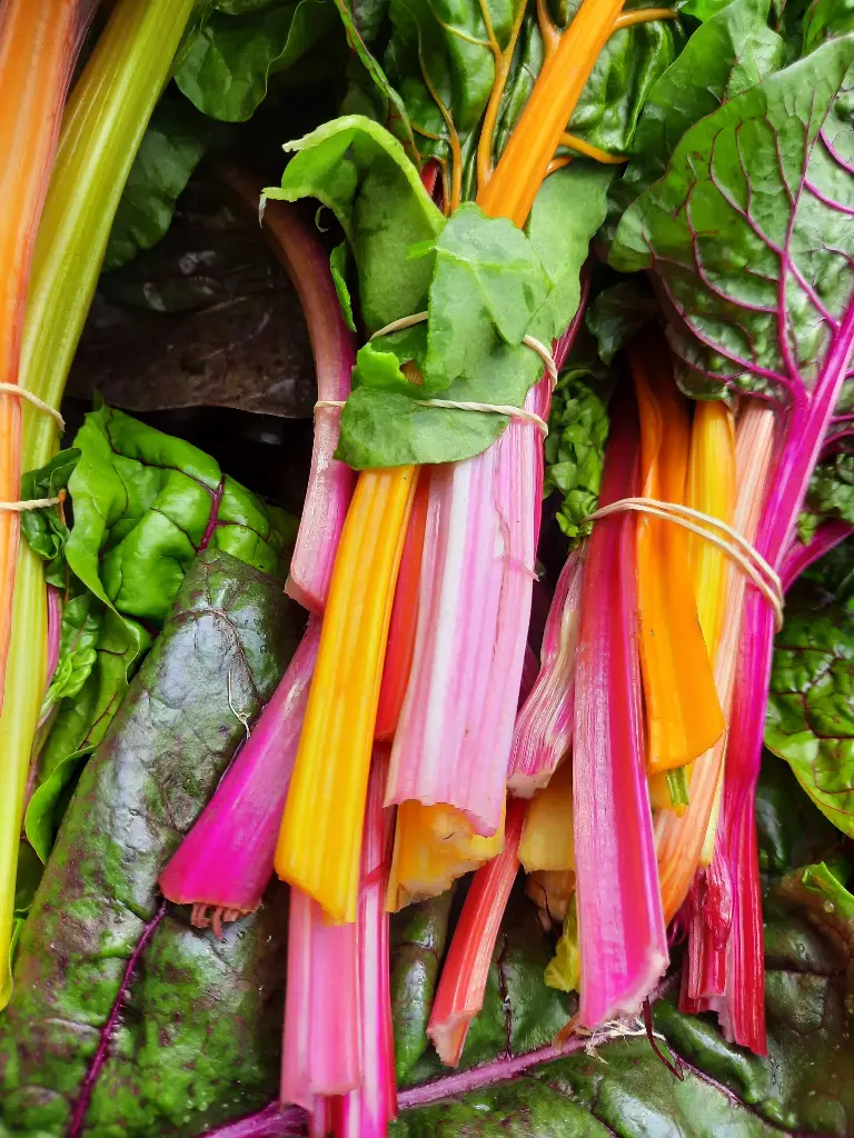 Bettes à cardes colorées (500g)