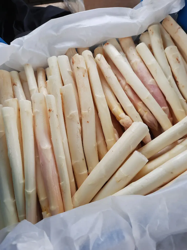 Asperge blanche(500gr)