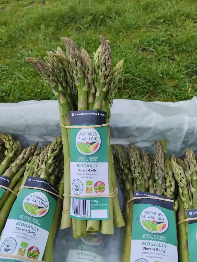 Asperges Verte (botte)