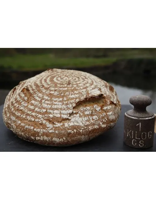Pain d'épeautre de Hollange blanc sur pierre (1kg)