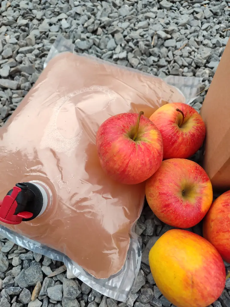 Jus de pomme (poche 3l)