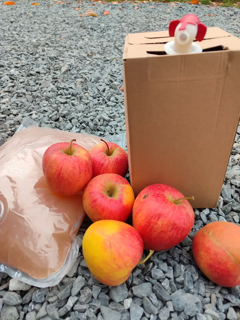 Jus de pomme 3l (avec carton réutilisable)