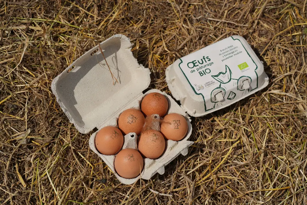 6 œufs frais de pâturage (poulailler mobile)