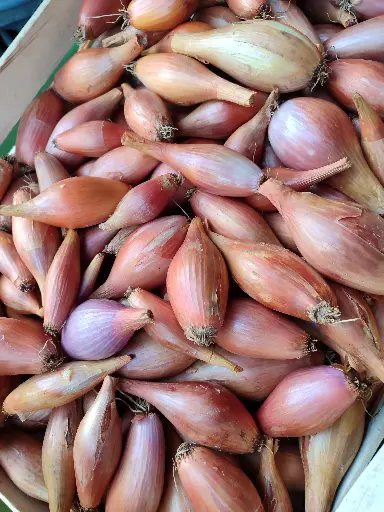 Echalote (300g)