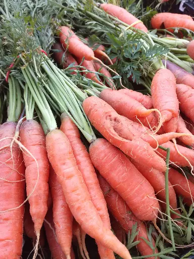 Carotte botte (700g)