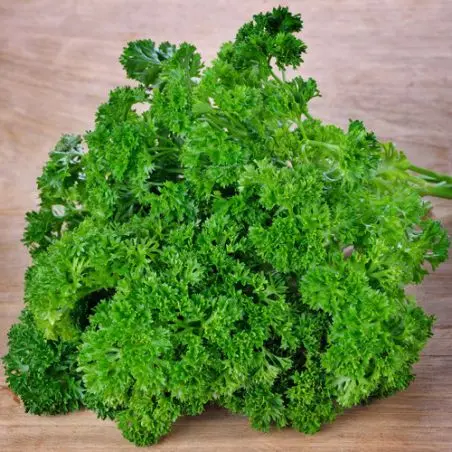 Persil (botte)