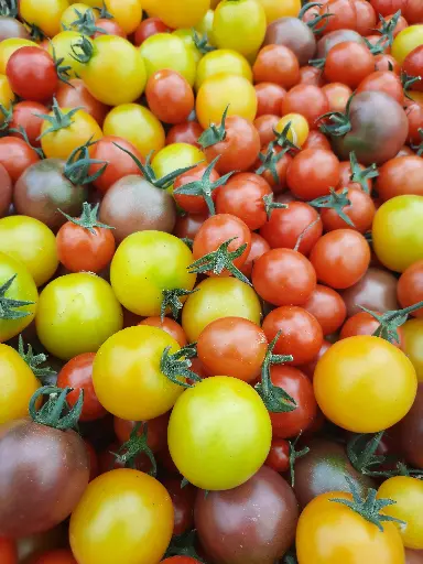Tomates cerises (250g)