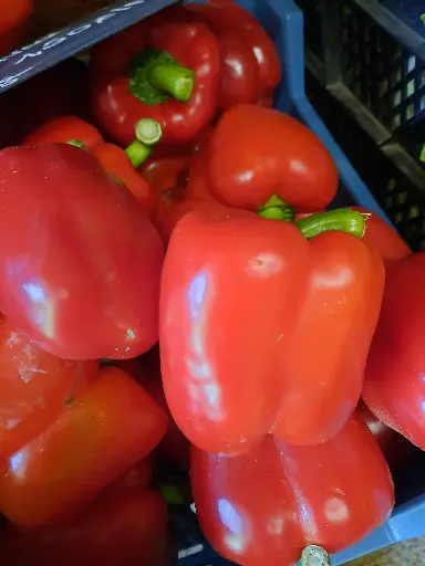 poivron rouge (500g)