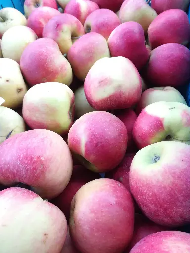 Pomme (kg)