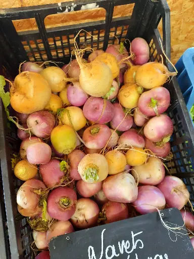 Navet (500g)