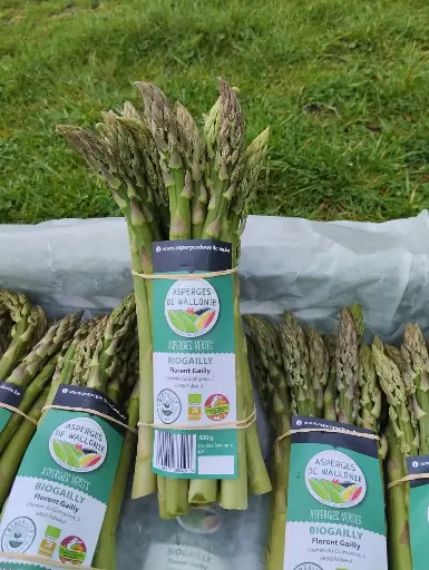 Asperges Verte (botte)