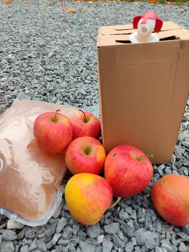 Jus de pomme 3l (avec carton réutilisable)