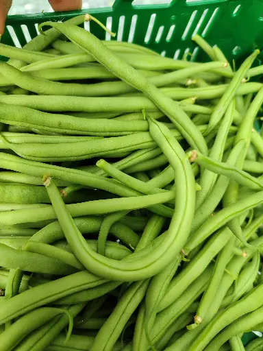 Haricot vert (400g)