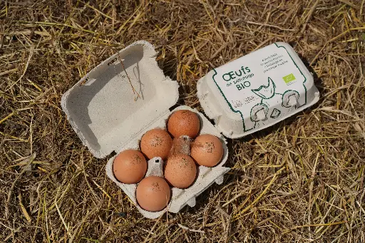 6 œufs frais de pâturage (poulailler mobile)